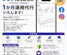 Meta広告を1ヶ月丁重に運用します Meta広告の配信設定から改善まで対応します