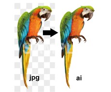 画像、ロゴ、手描きイラストなどをaiデータにします 複雑なデザインもお任せください！フォントだけ！ももちろんOK