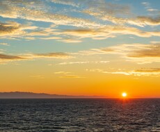 カラダとココロとアタマを整える方法をお伝えします イメージ1