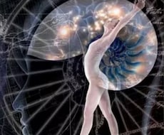 松果体を覚醒します 松果体が覚醒すると努力なしで引き寄せが早まります