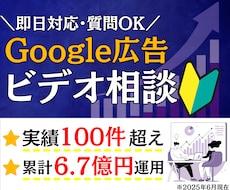 ビデオ通話！Google広告の疑問に何でも答えます 施策提案・改善提案・成果計測・運用指導を行うコンサルティング
