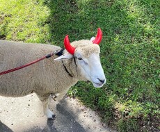 話し相手や愚痴聞きになります イメージ1