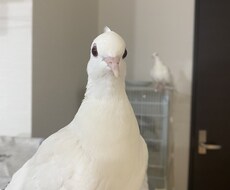 なんでもないことでもお話し聞きます イメージ1