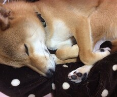 医大生が様々なお悩みを聞きます イメージ1