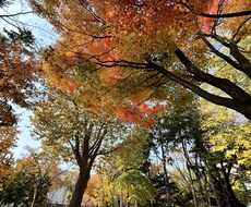 写真の素材提供します イメージ1