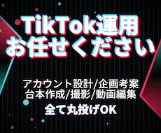 現役クリエイターがTikTok1ヶ月運用代行します ～バズるきっかけをあなたに～　1ヶ月間のサポートを提供します