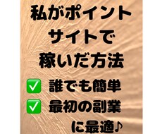 真剣に、ポイントサイトでの稼ぎ方をお伝えします イメージ1
