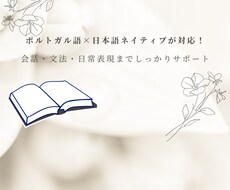ポルトガル語の通訳します イメージ1