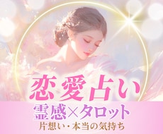 恋の迷いにそっと寄り添うタロット占いをします 気になるあの人の本音と、これからの流れを文字でお届けします