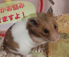 心に悩みを抱えている方、相談にのります イメージ1