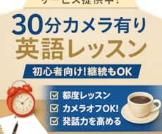 30分）カメラ有り英語レッスンします イメージ1