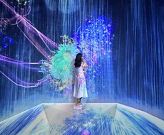 映える東京の旅プラン作成します イメージ1