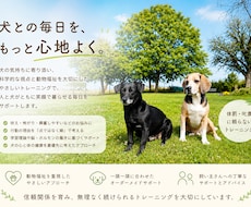 犬の気持ちに寄り添ったトレーニング方法を提供します やさしさと科学で、信頼を育むドッグトレーニング