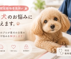現役動物看護師が愛犬のお悩みに答えます 動物のプロが愛犬の日常の不安や悩みを解決します！