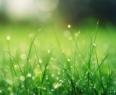 心理カウンセラーがあなたと向き合います イメージ1