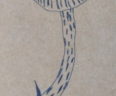 ボールペンで植物、海の生き物のイラスト描きます イメージ1