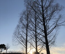 アカシックリーディングをします あなたが心から満たされ、輝いているあり方をリーディング☆