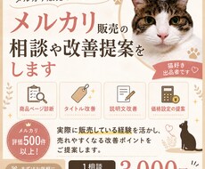 メルカリ販売を診断し改善案をご提案しますます 評価500件超の経験をもとに売れやすい改善案をご提案