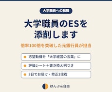 倍率100倍突破者が大学職員のESを添削します イメージ1