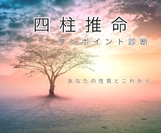お試し｜性格と2026年の運勢占います あなたの性格とこれから1年の流れをお伝えします。
