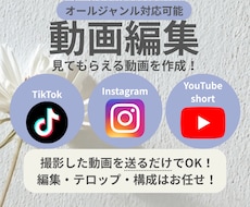 送るだけ！動画編集します イメージ1