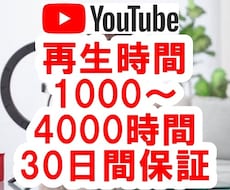 YouTube収益化！再生時間1000時間増えます 保証付☆ユーチューブ収益実績多数！最大4000時間まで増加