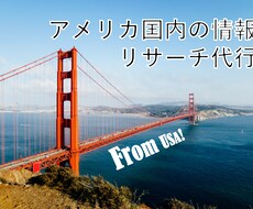 代行して米国調査致します 海外在住者が現地のWEBで完結出来る情報を代行して調査！