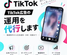 TikTok広告の運用を代行します TikTok広告の運用代行を行います