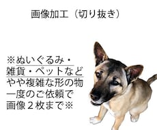 画像加工（切り抜き）承ります