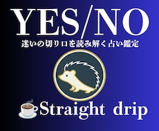 YES / NOの方向性を占います イメージ1