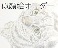 ペット肖像画を描きます イメージ1