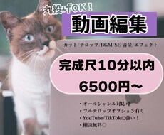 動画編集いたします イメージ1