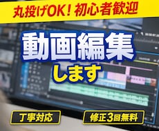 丸投げOK初心者歓迎で編集しいたします イメージ1