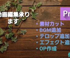 youtube等の動画編集・テロップ入れ承ります イメージ1