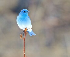 なんでも話聞きます イメージ1