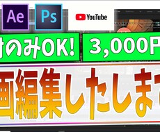 この価格帯で一番高クオリティーな動画編集致します 「低価格高品質」な動画編集を求めている方に！