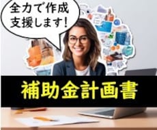 新たに始まる「新事業補助金」申請書作成支援承ります イメージ1