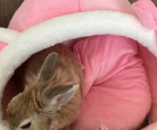 誰かに話したい夜にあなたの気持ち受け止めます イメージ1