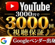 YouTube広告で3,000回視聴を保証します イメージ1