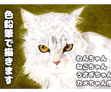 大切なペットを色鉛筆で描きます イメージ1