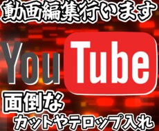 低価格で動画編集を行います イメージ1