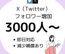 X（Twitter）フォロワー3000人増加します 即日対応可能！減少補償もあり✨