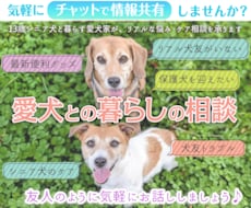 愛犬との暮らし、リアルな日常の相談お聞きします イメージ1