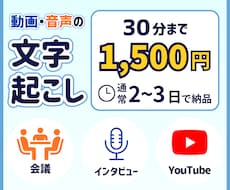 30分以内の文字起こし1,500円で対応します イメージ1