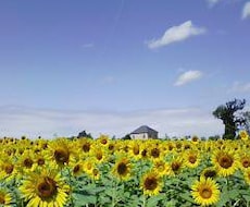 育児関係のお話聞きます イメージ1