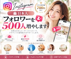 インスタ日本人フォロワー500人増やします イメージ1
