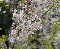 占い依存から抜け出したい！などお話お聞きします イメージ1