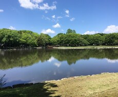 タロットを使ってお悩み相談します 5分から話し相手になります！なんでもご相談ください。