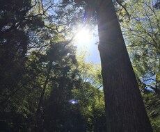 心のモヤモヤ、悩みなど解消するお手伝いします。暇つぶし程度なお話でも構いませんo(｀ω´ )o イメージ1