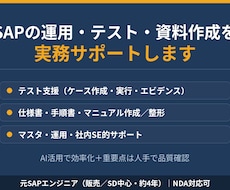 SAPの運用・テスト・資料作成をサポートします イメージ1